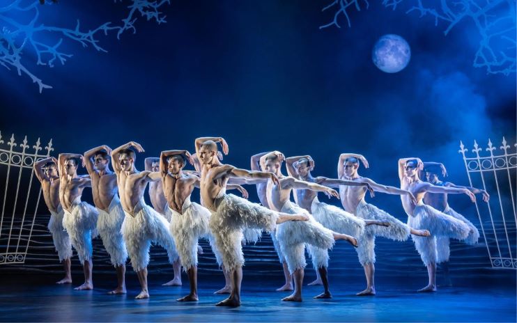 «EL LAGO DE LOS CISNES: LA NUEVA GENERACIÓN»