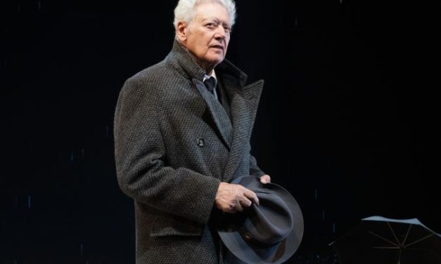 «EL PESIMISMO ALEGRE»